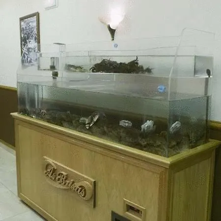 As Brisas Do Freixo